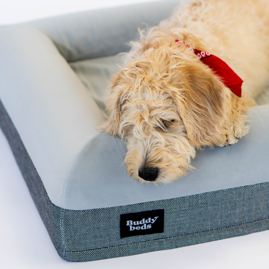 Buddy Beds