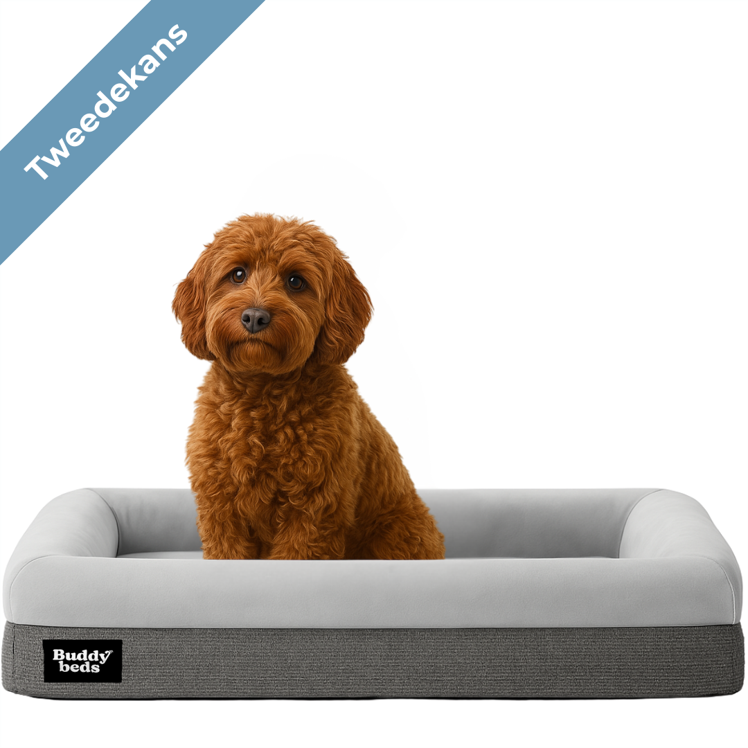 Zweite Chance Buddy Bed