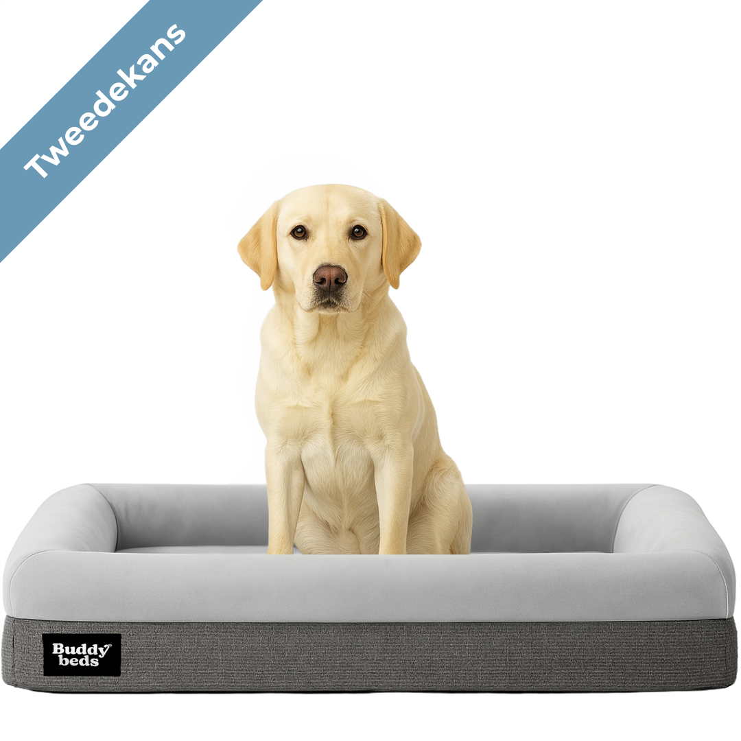 Zweite Chance Buddy Bed