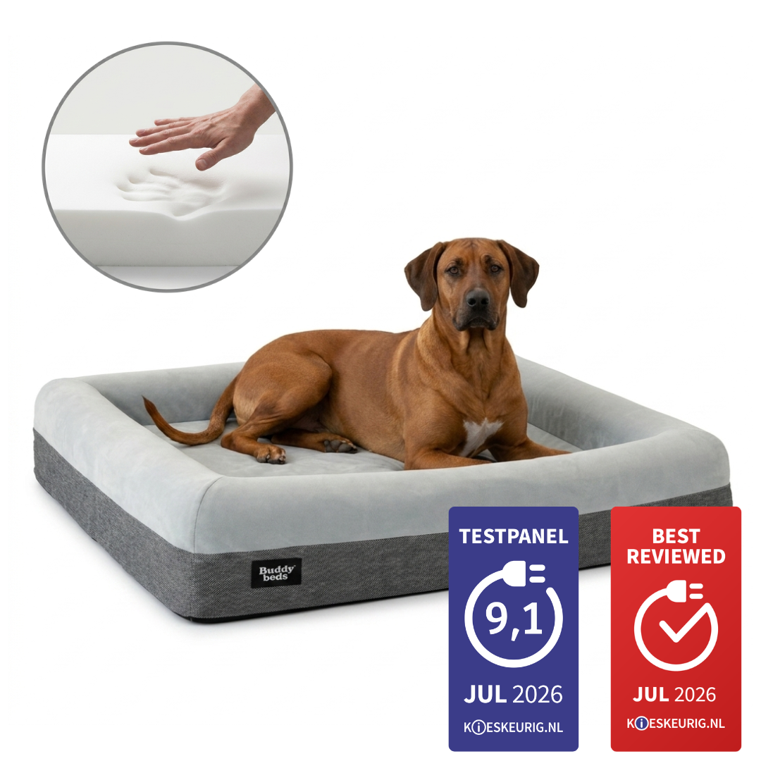 Large Buddy Bed