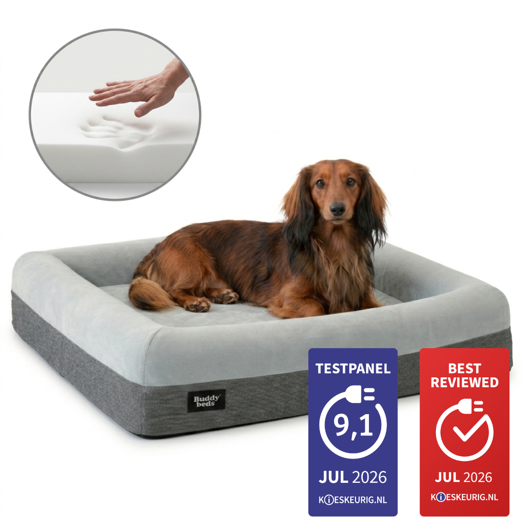 Small Buddy Bed