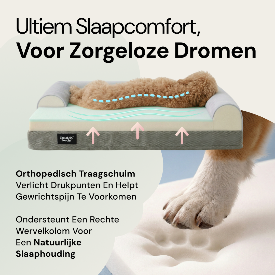 Medium Buddy Bed