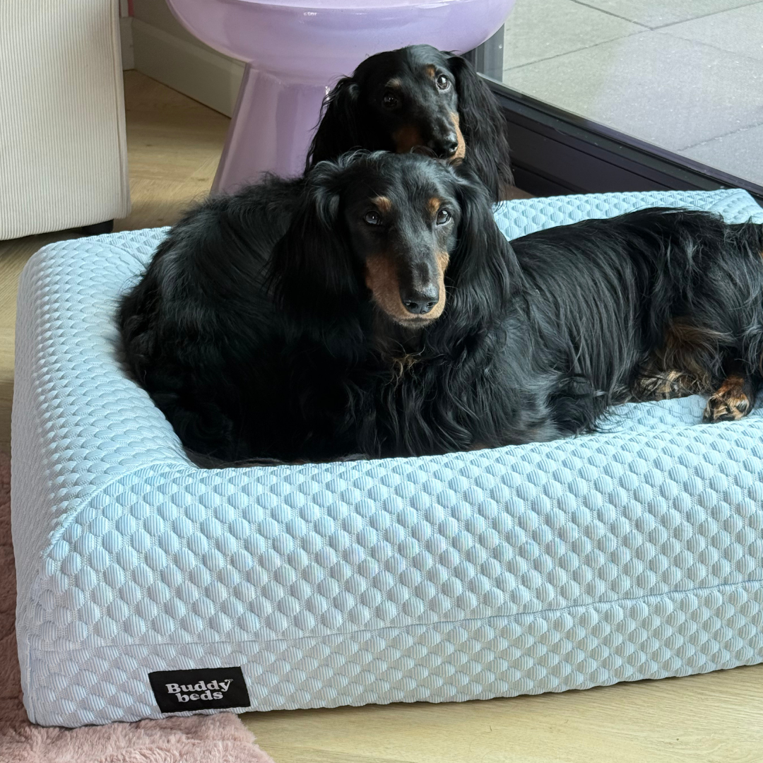 Kühlhülle „Icy Blue“